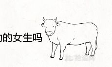 属牛男喜欢主动的女生吗 心疼哪种女人