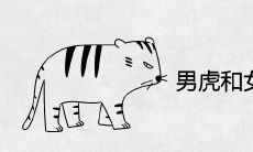 男虎和女蛇其实非常配是真的吗 有没有夫妻缘分