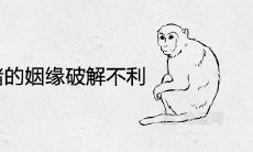 92猴和95猪的姻缘破解不利灾劫方法