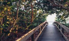 2022年犯太岁身上佩戴什么辟邪化灾