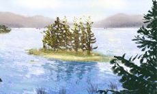 2010年哪些手机号码最旺