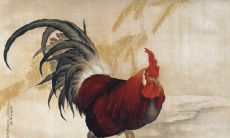 1981年属鸡人在2023年的全年运势好不好