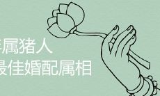 95年属猪跟什么属相配 哪一年结婚最好