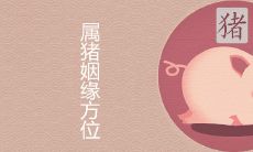 1995属猪的姻缘方位在哪里 2022年几月份桃花最旺盛