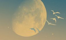 2023年二月宝宝最好命 2月哪天出生最好