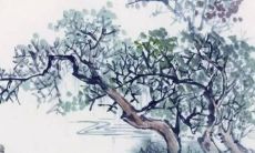 婚书是男方写还是女方写 大多新郎父亲写