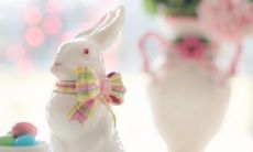 2023年生兔备孕表 出生吉月和吉日