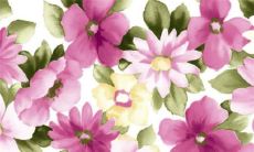 彩礼是给父母还是女儿 时代不同归属不同