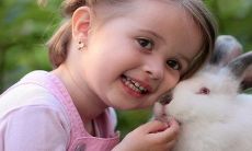 2023年兔年不宜添丁的属相有哪些