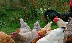 属蛇人离不开的两个贵人是谁 2022蛇人和谁一起财运好