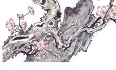 回门要带什么东西回娘家 以四类礼品为主