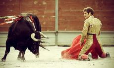 陶延浩姓名评分87分