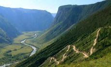 2005年属鸡人2021年幸运色 穿什么颜色衣服