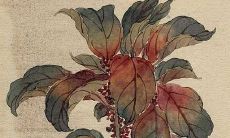 2022年3月26日这天建房动土吉利吗 此日动土日子好吗