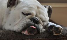 朱慧恺姓名评分91分