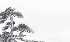 2022年4月5日清明节是动土黄道吉日吗 好日子看八字