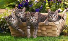 水忆文姓名评分101分