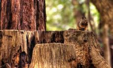 阮凌晖姓名评分91分