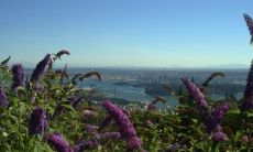 汤懿妮姓名评分80分