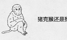 猪克猴还是猴克猪 在一起对谁不好