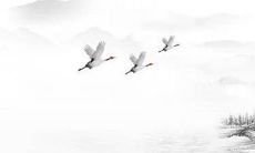 2022年4月3日这天建房动土吉利吗 此日动土日子好吗