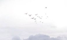 2022年4月2日动土日子好吗 今日日子好不好