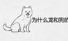 为什么龙和狗的感情这么好 婚姻相配怎么样