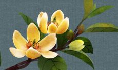 2022年3月24日动土好不好 是建房动土吉利日子吗