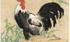 属鸡的贵人属相是什么生肖