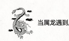 当属龙遇到属鸡的人财运怎么样 是龙凤绝配吗