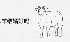 91羊和91羊结婚好吗 相配婚姻如何