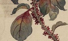 2022年3月27日开工动土吉利吗 这天建房合不合适