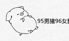 95男猪96女鼠什么时候结婚好