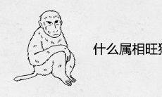 什么属相旺猴的财运