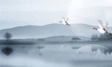 订婚给了八万八结婚还要给吗 男女双方商量决定