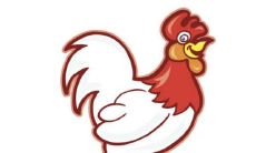 属鸡人有什么吉祥物可以促进他们的子女运气