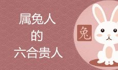 属兔的六个合贵人是什么属相
