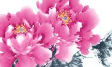 2022年3月13日动土好吗 是黄道吉日吗