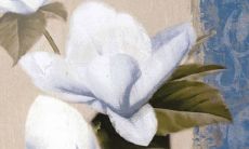 2022年3月9日动土日子好吗 今日日子好不好