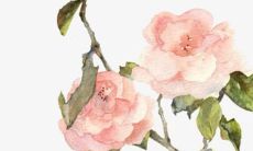 2022年3月5日惊蛰动土好吗 是黄道吉日吗