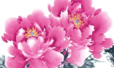 2022年3月14日白色情人节可以动土吗 老黄历查询