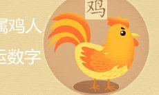 属鸡1981终身幸运数字是什么