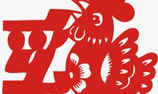 生肖鸡的忌讳数字是什么 要避开哪些数字