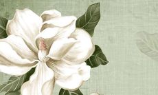 2022年3月15日适合动土吗 建房开工合不合适