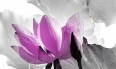 2022年3月21日动土好吗 是黄道吉日吗