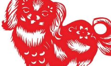 81年出生的鸡女一生的财运走向