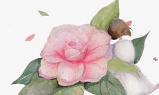 2022年3月12日植树节是动土黄道吉日吗 好日子看八字