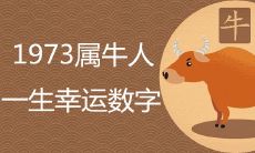 1973属牛一生幸运数字都有哪些