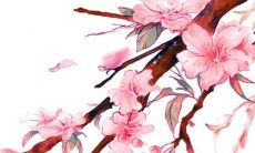 2022年3月20日春分是动土黄道吉日吗 好日子看八字