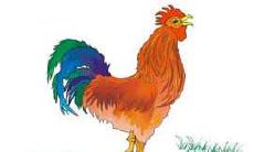 属鸡的人对他喜欢的人有什么表现